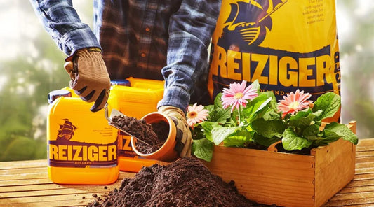 Mastering Hydroponics: Avoid These 7 Key Mistakes for Thriving Gardens