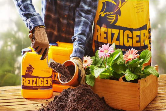 green-thumb-cultivating-beauty
